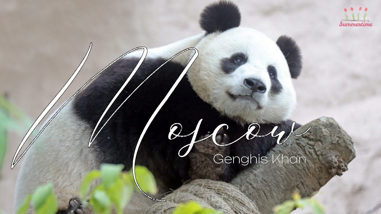 [Vietsub | Như Ý Đình Đình BGM] Moscow - Genghis Khan (phiên bản tiếng Anh)