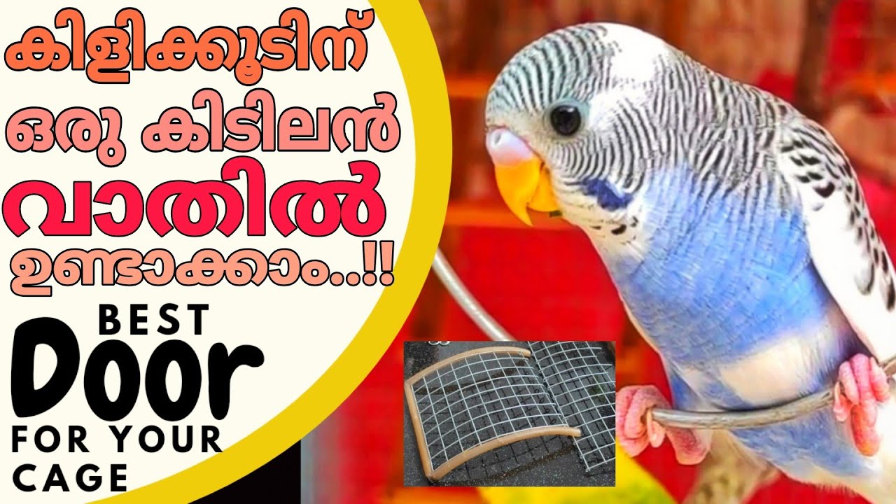 കിളിക്കൂടിനൊരു 