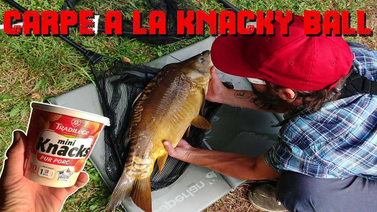 APPAT INSOLITE #1 - JE P&Ecirc;CHE LA CARPE &Agrave; LA SAUCISSE