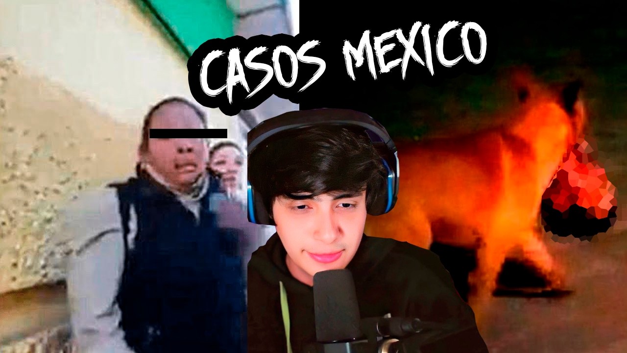 ICEBERG DE CASOS OCURRIDOS EN MÉXICO