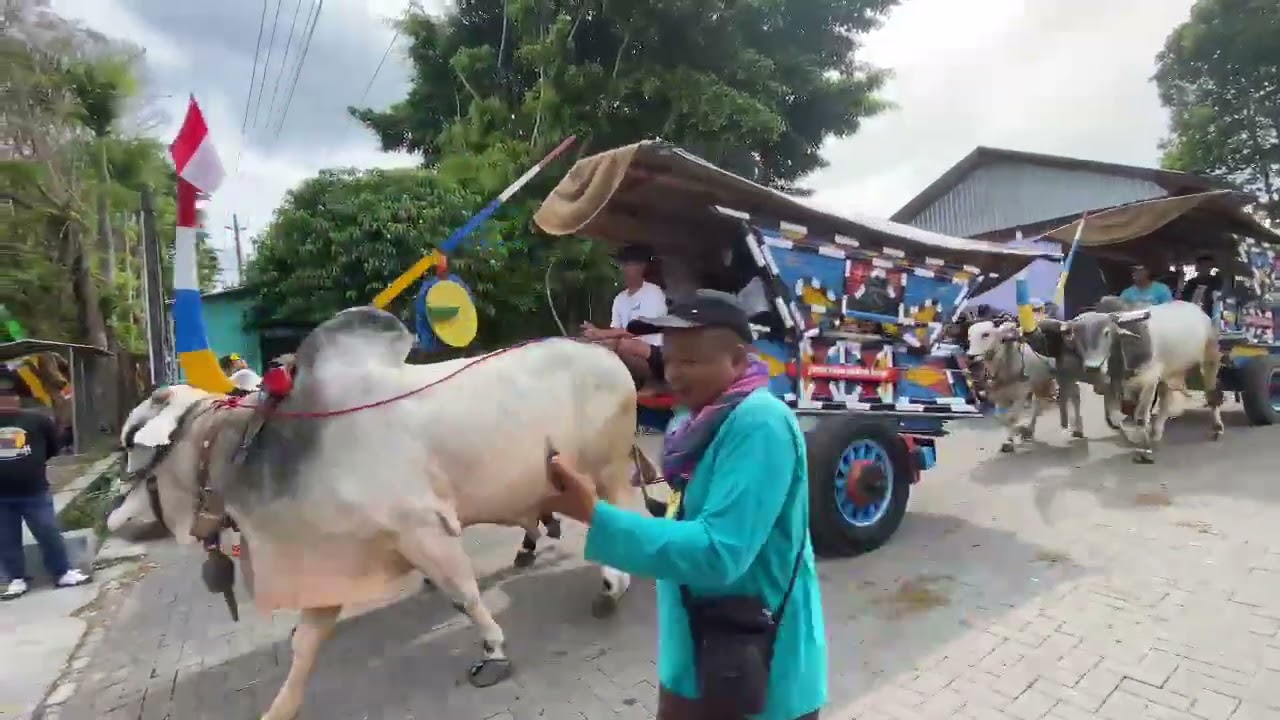 Festival Gerobak Sapi, HUT Gerobak Sapi Makarti Roso Manunggal di Pokoh Wedomartani Ngemplak Sleman 