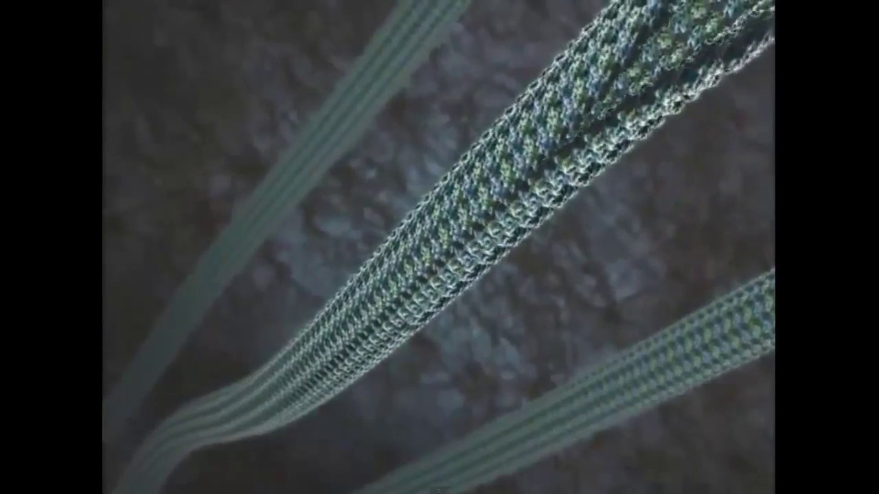 Microtubule Depolymerization
