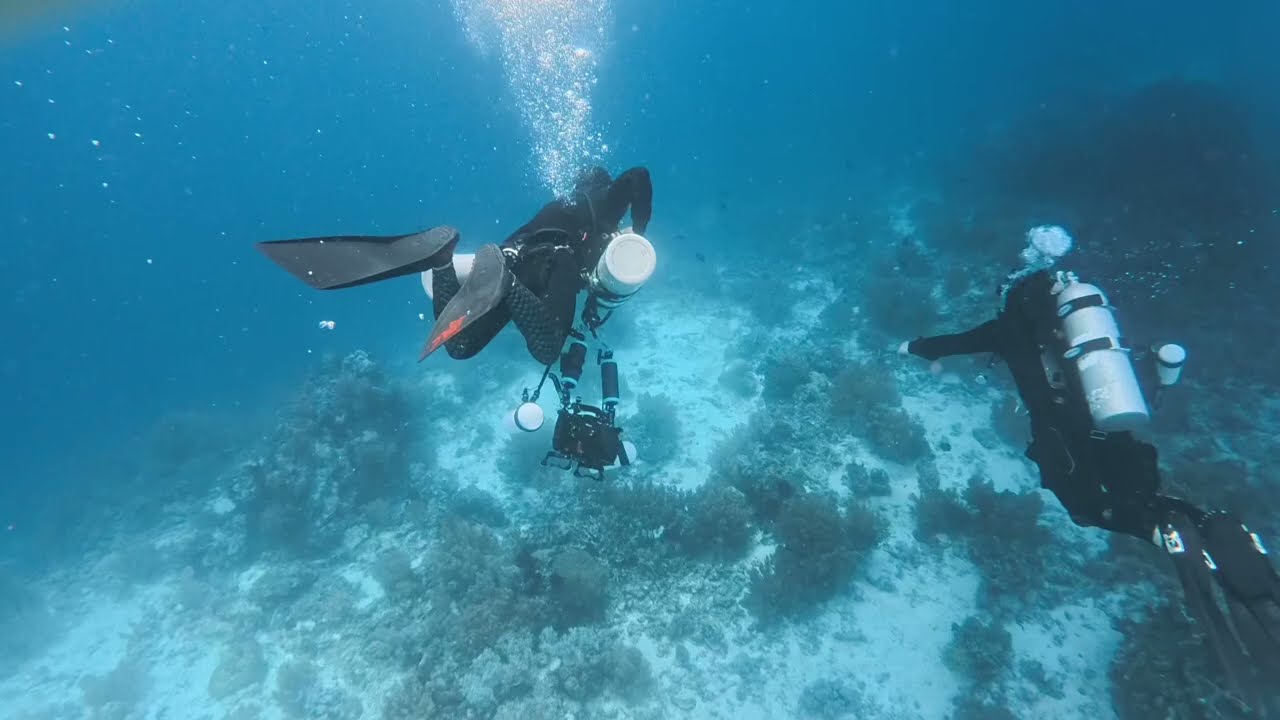 ASMR-Bohol, Balicasag, Royal Garden Point. - Diving, deep sleep, Restful sleep, Insomnia