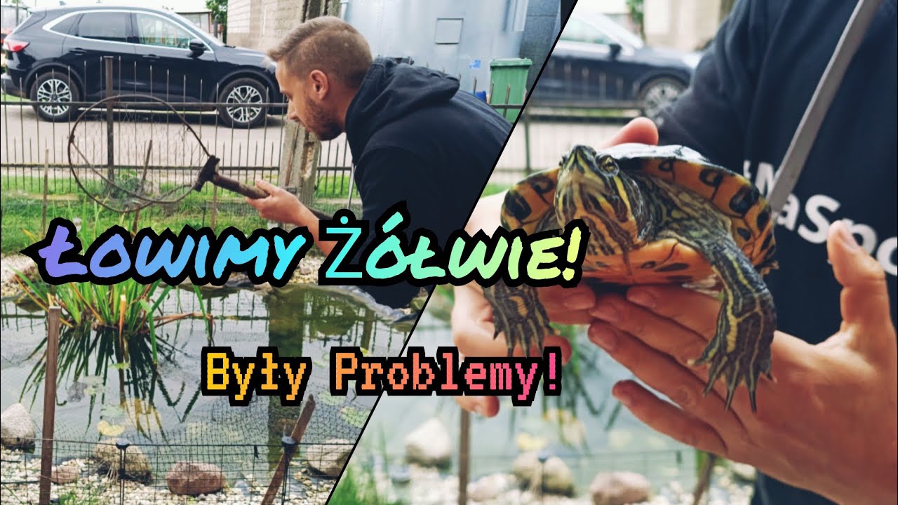 Czas wyłowić żółwie🐢 Przeprowadzka na zimę☝️