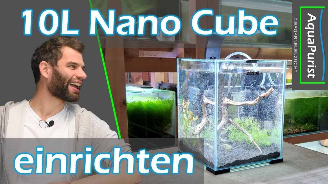 Wird das ein Weihnachtsgeschenk? - Ich richte ein NanoCube ein...