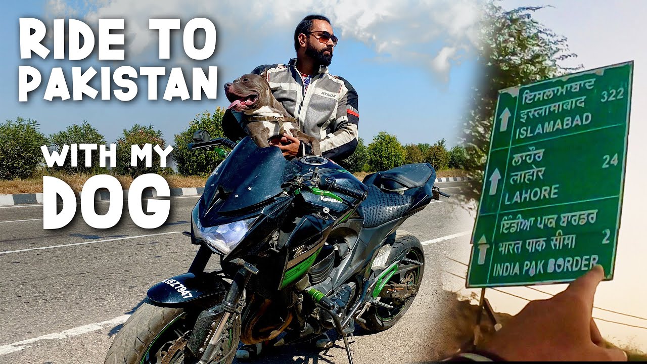 Delhi To Pakistan With My American Bully (Max) On Z800 | Attari Border |