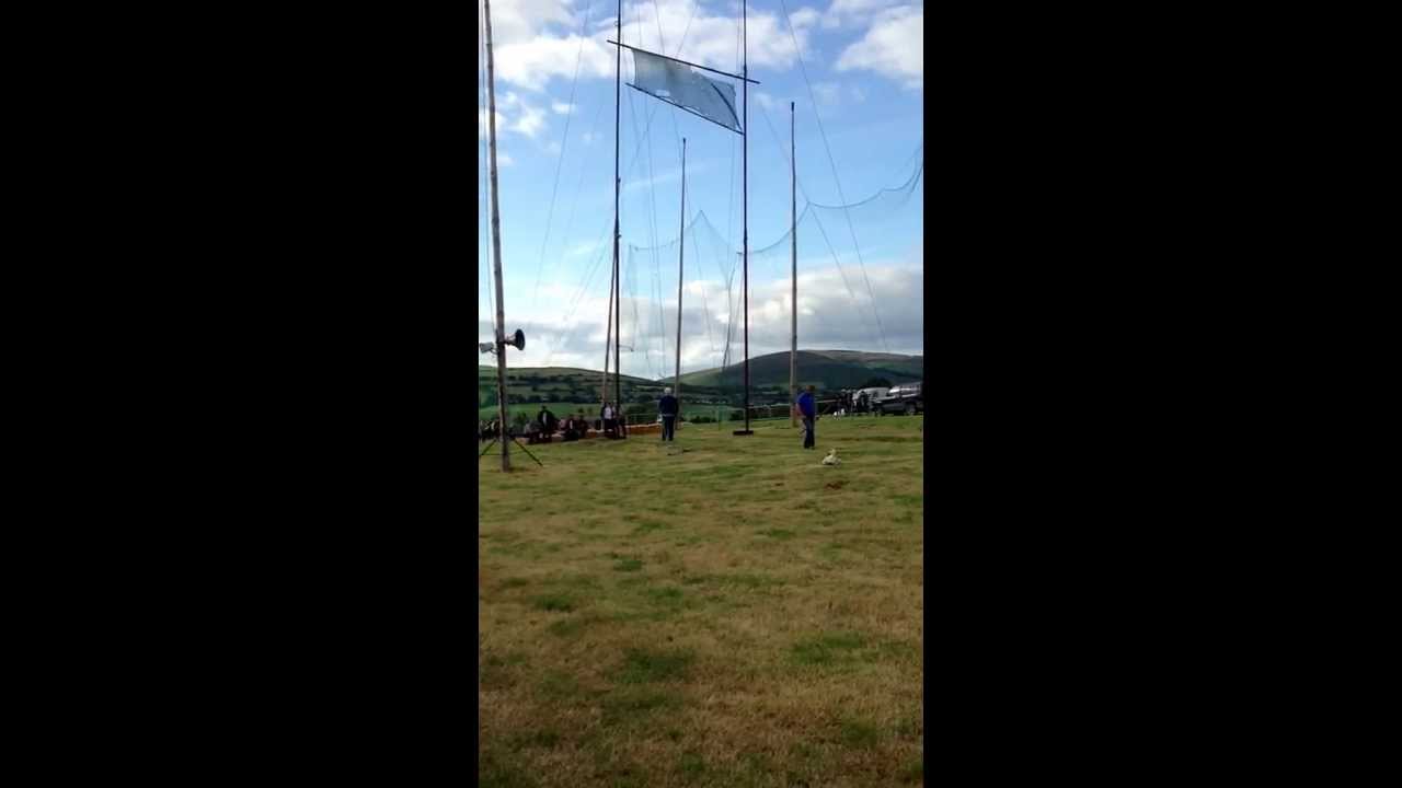 SHEAF TOSSING @ TINAHELY :) 2013