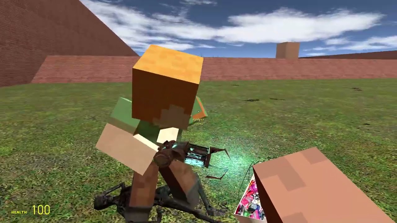 Garry's Mod with friend and mods no speaking
