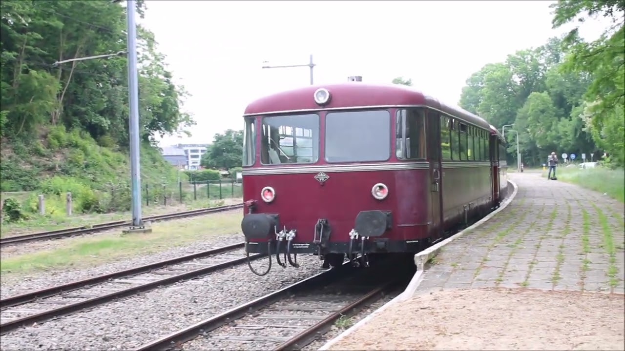 voorjaar ZLSM 2025
