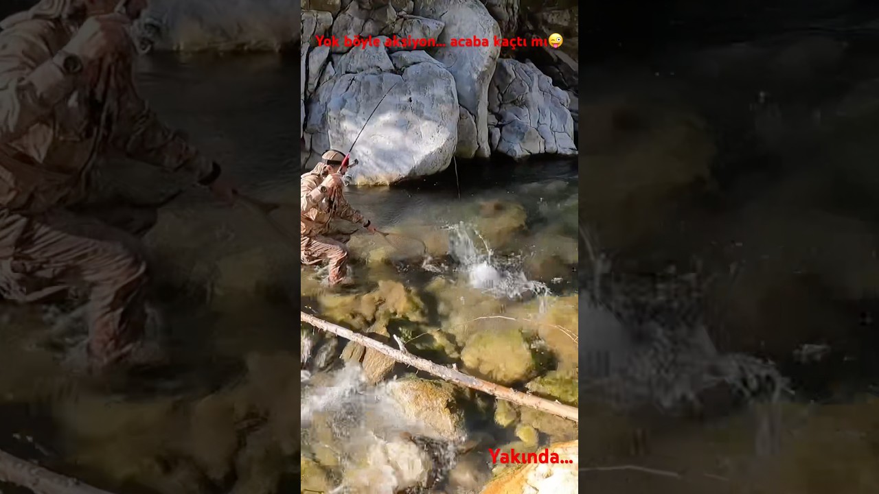 Devasa benekli dizlerimizi titretti😱 #troutfish #balık #fishing #fisherman #trout #spin #alabalık