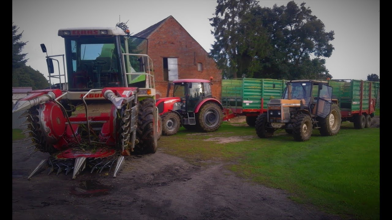 Kukurydza 2017 na kiszonkę z NiemenTeam/Ursus904/Claas Jaguar 840/Zetor Proxima85