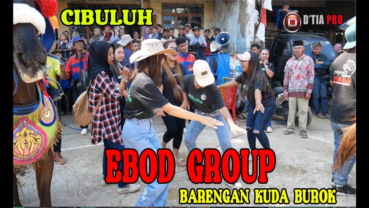 EBOD GROUP l CIBULUH I KUDA TANJI I D TIA PRO
