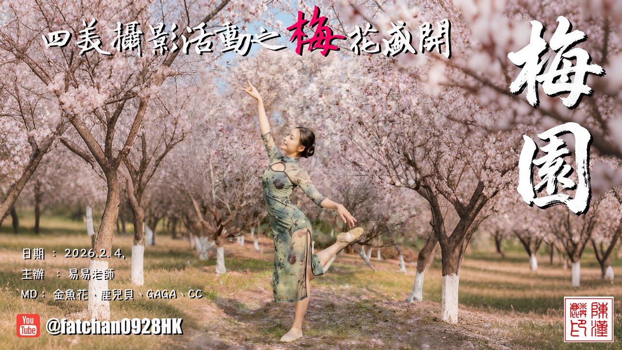 梅花盛開的美麗瞬間：四美梅園攝影活動 | Beautiful Moments of Blooming Plum Blossoms: Four Beauties Photography Event