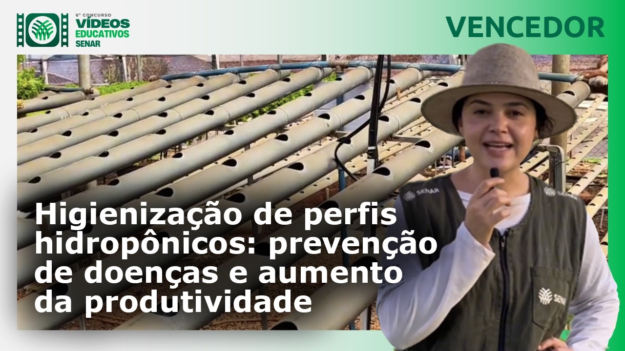 Higienização de perfis hidropônicos: prevenção de doenças e aumento da produtividade