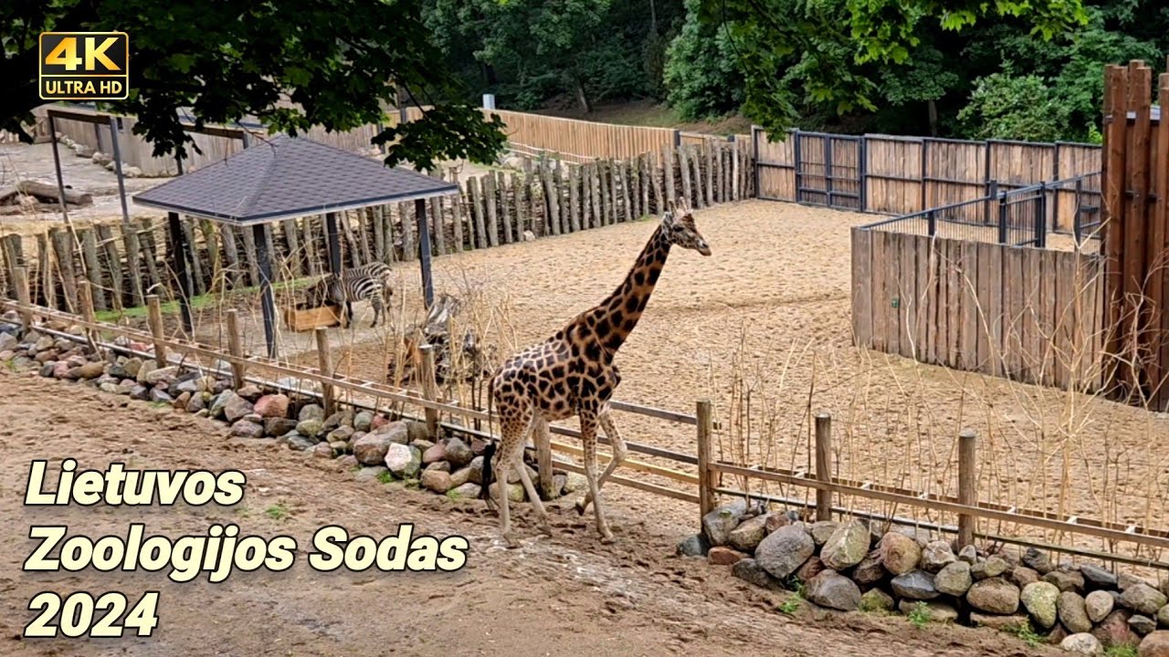 Lietuvos Zoologijos sodas. Kaunas. 2024. Lithuania. Zoo.