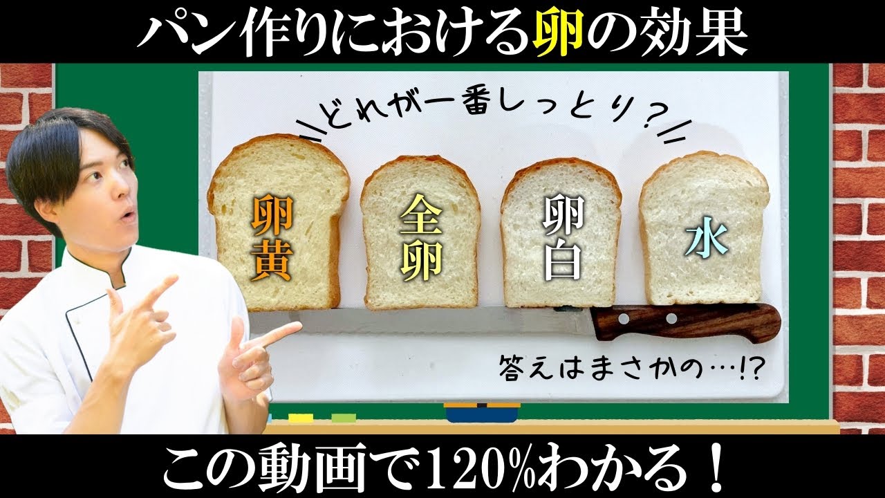 卵黄・卵白でパンを作り比べて発見！卵を使ってパンを作る際の注意点