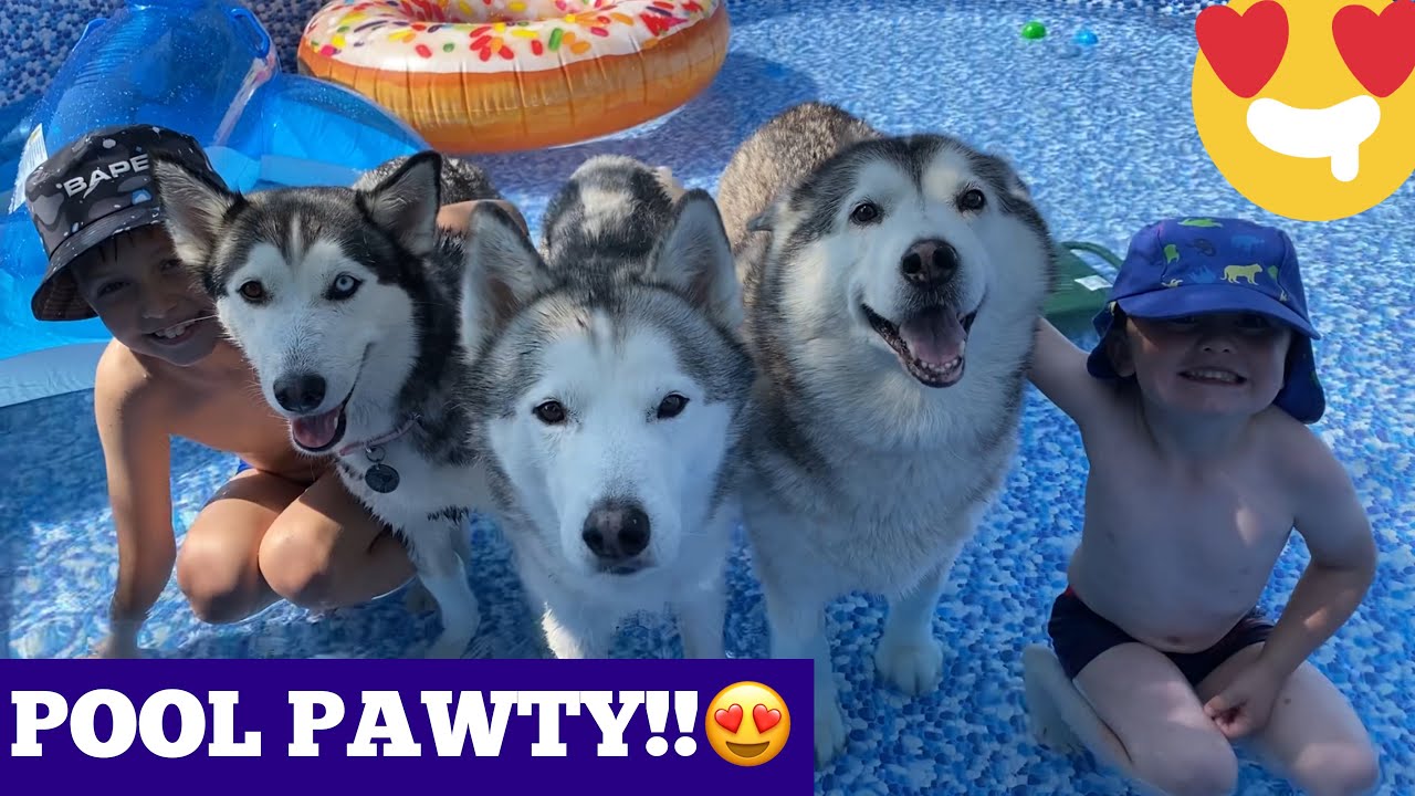 The Best Pool Party For My Huskies & Kids!! [CUTEST VIDEO EVER!!!!!]