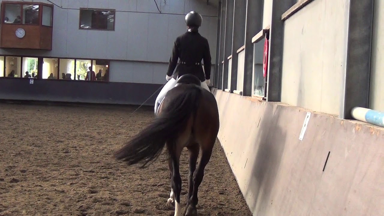 2019 Femke paardenproef F8 2