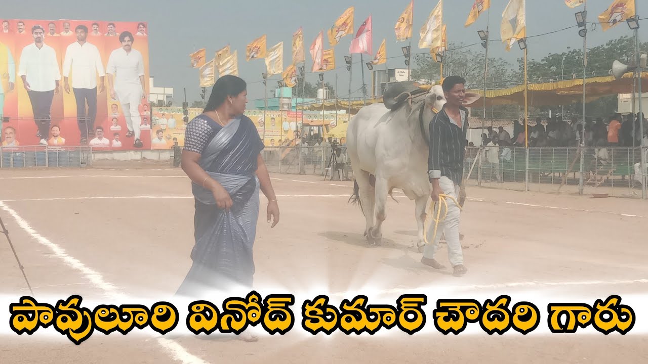 చిలకలూరిపేట. న్యూ కేటగిర16 పావులూరి వీనోద్ కుమార్ చౌదరి గారు  తిమ్మాపురం