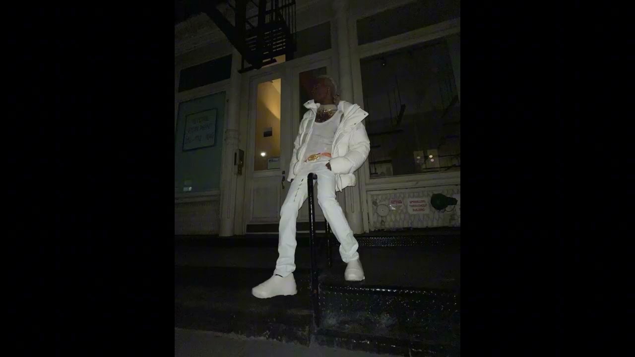 playboi carti + art dealer + wlr v2 type beat 'tgd'
