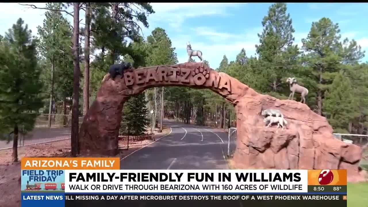 Family-friendly activities to do in Williams