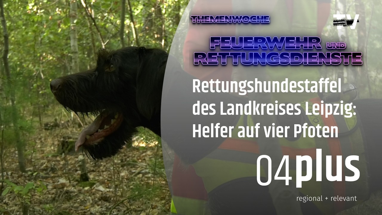 🚒 Die Helfer mit der kalten Schnauze: Rettungshunde im Einsatz zu Land und zu Wasser