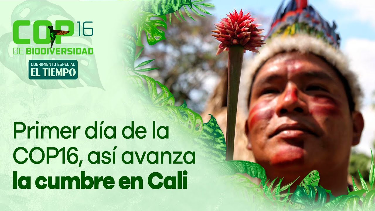 Primer día de la COP16, así avanza la cumbre en Cali | El Tiempo