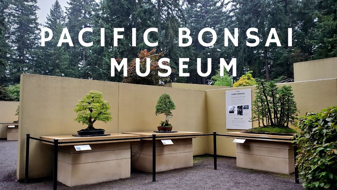 Pacific Bonsai Museum