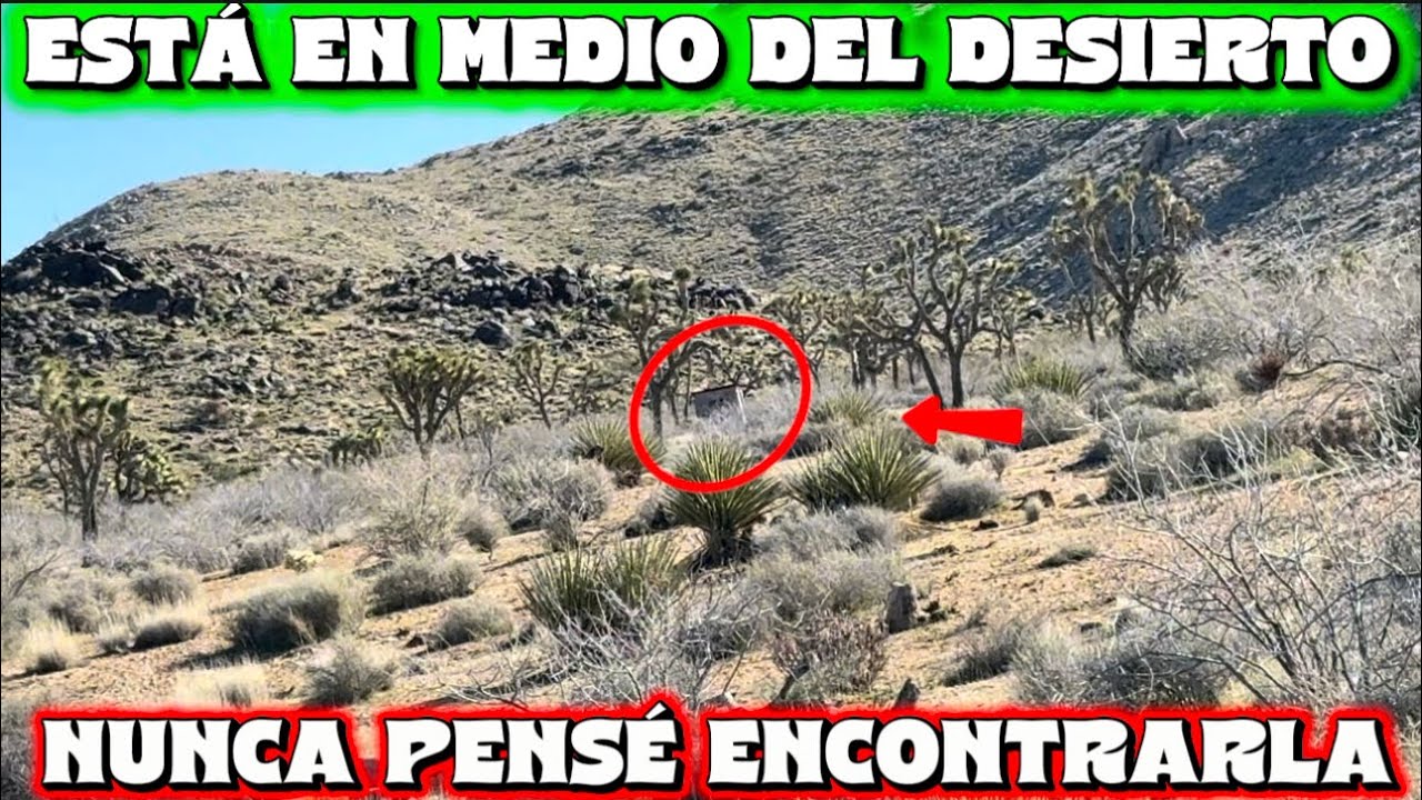 Está en medio del desierto nunca pensé encontrarla miren lo que tiene adentro 