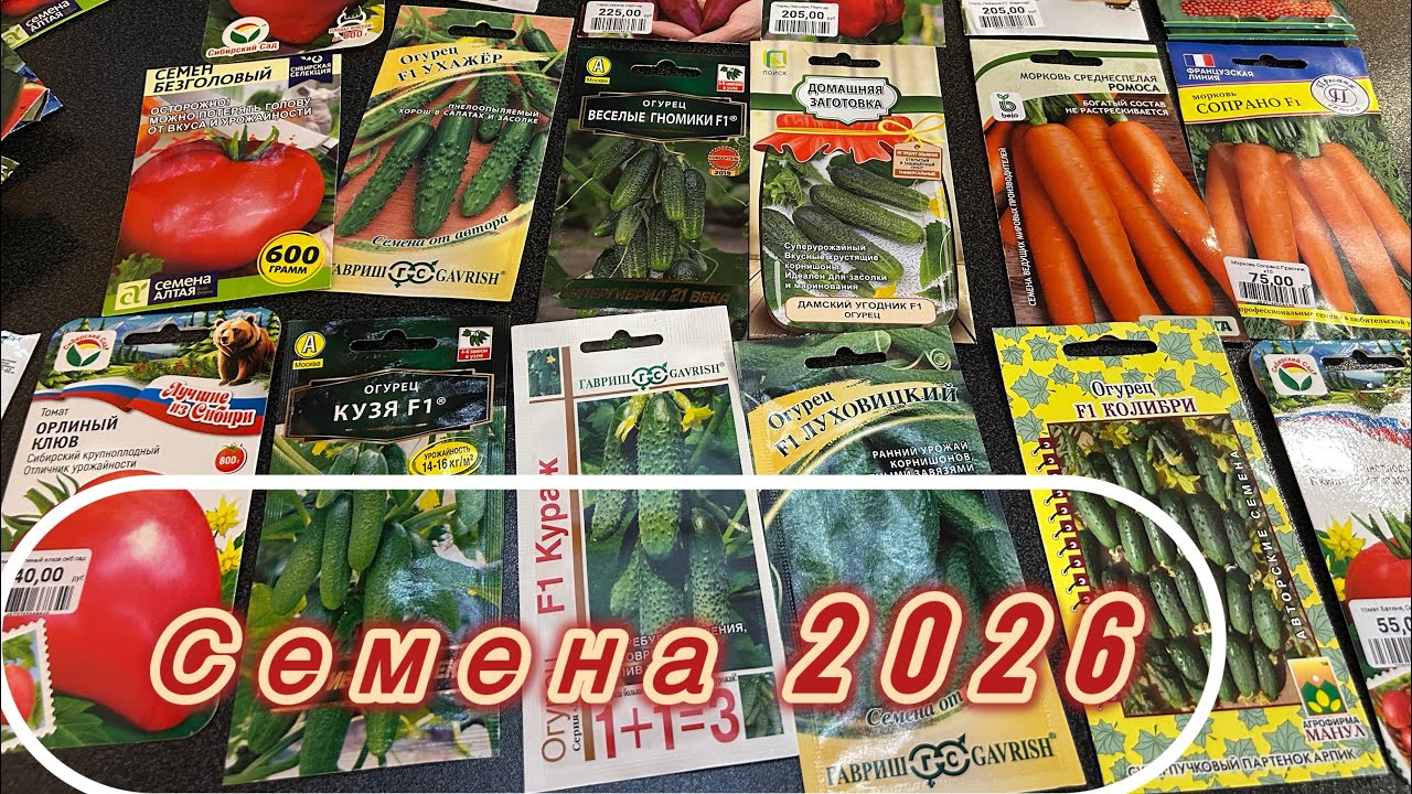 Обзор семян на 2026 год 