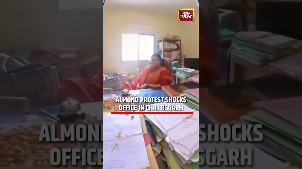 Chhattisgarh Viral Protest: Almonds Thrown at Govt Office Desk #chattisgarh #viral #indianews
