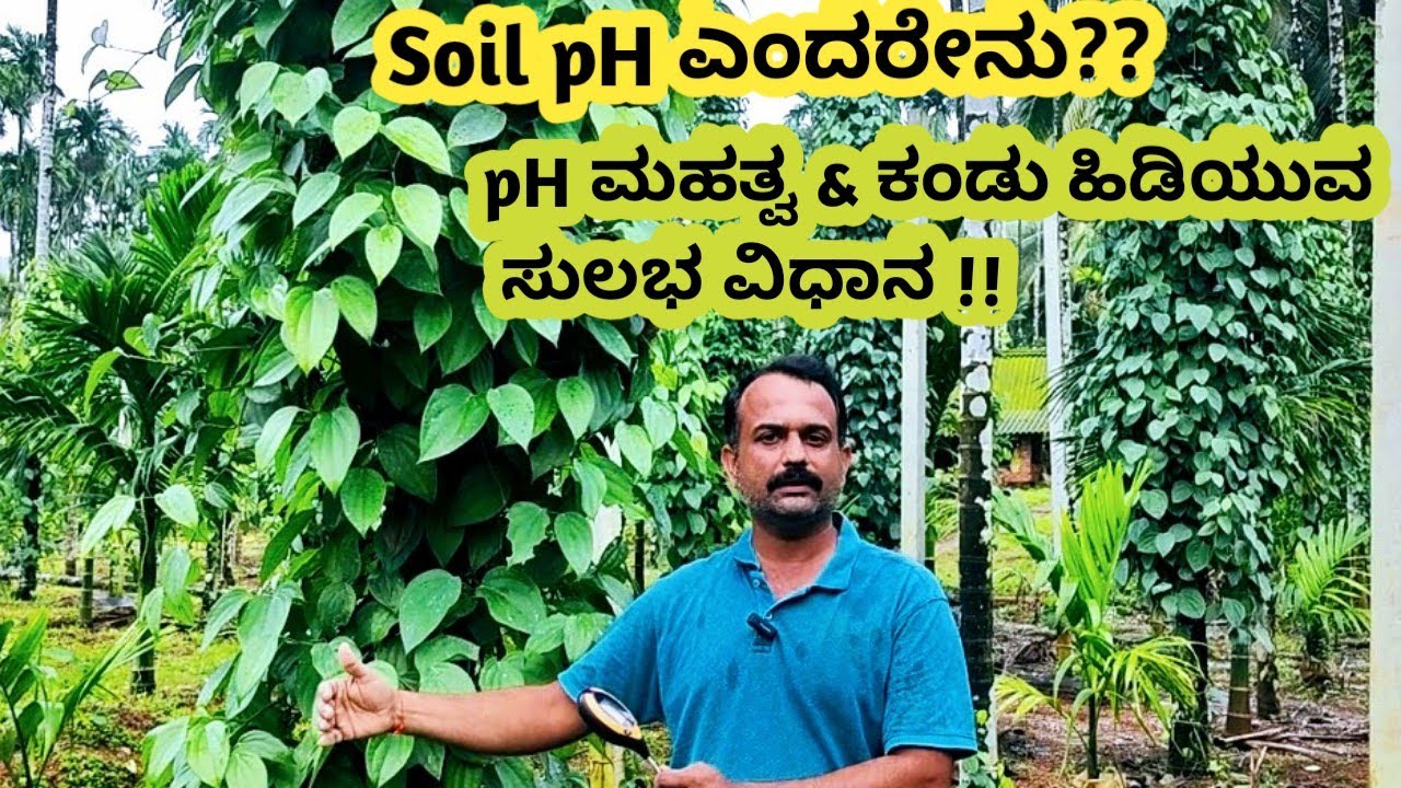 What is Soil pH?  |It's importance and How to detect pH easily? | ಮಣ್ಣಿನ pH ಎಂದರೇನು| pH ಮಹತ್ವ ....