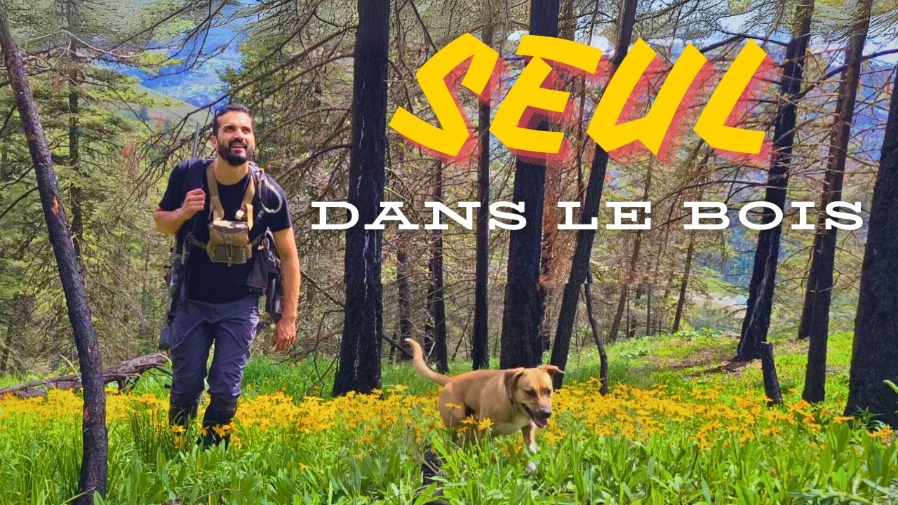 LÂCHER PRISE DANS LA NATURE 🐻🍃🌲