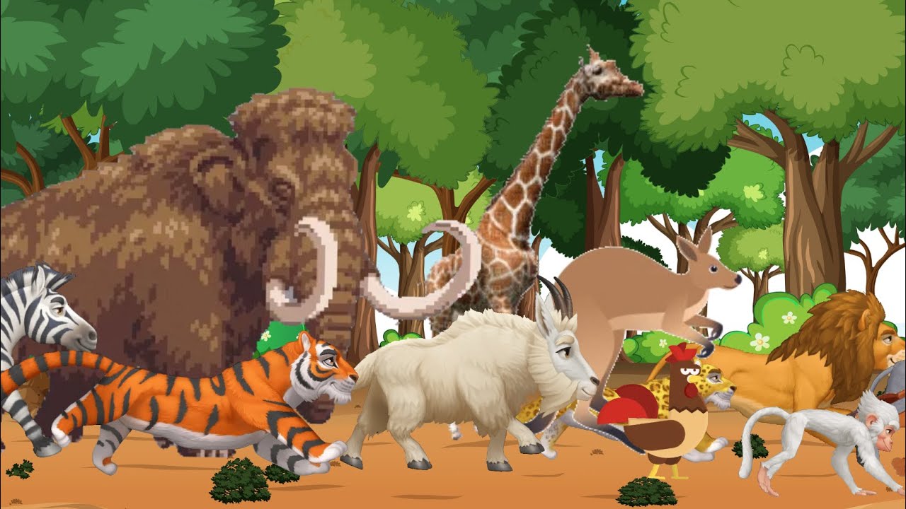 Animal Sounds Song 🦁🐒 Fun & Easy Animal Song in the Jungle 🎶🌿 Best Educational Video for Toddlers