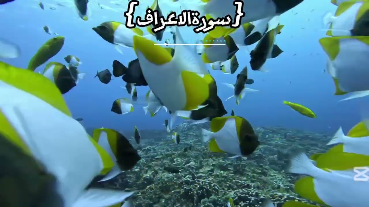 سورة الأعراف كاملة تلاوة خاشعة مؤثرة | القارئ حمد سنان