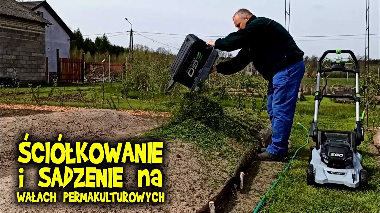 Ściółkowanie sadzenie na wałach permakulturowych + NOWA kosiarka akumulatorowa EGO