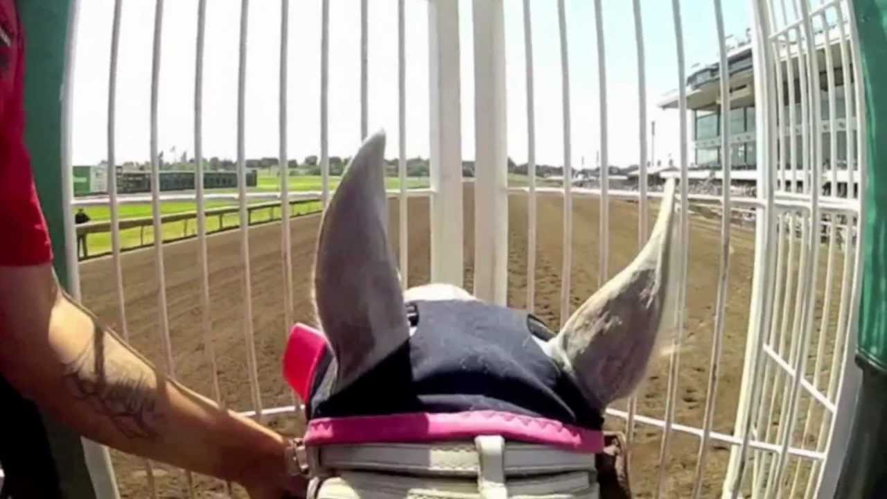 Quarter Horse Helmet Cam at Canterbury Park with Jockey Jeramie Fennell