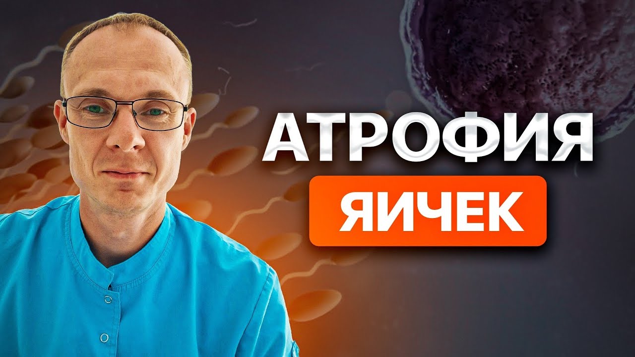 Атрофия яичек. Проблемы с зачатием. Врач уролог-андролог. Москва.