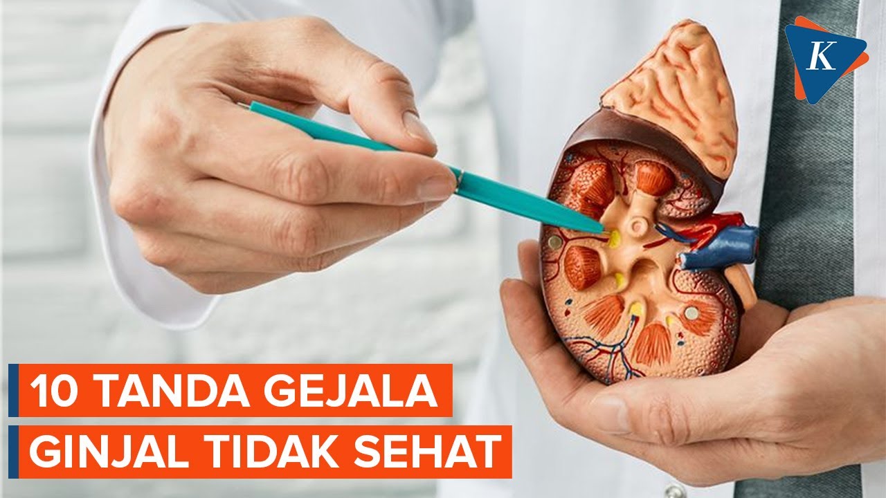 Ketahui Gejala Ginjal yang Tidak Sehat