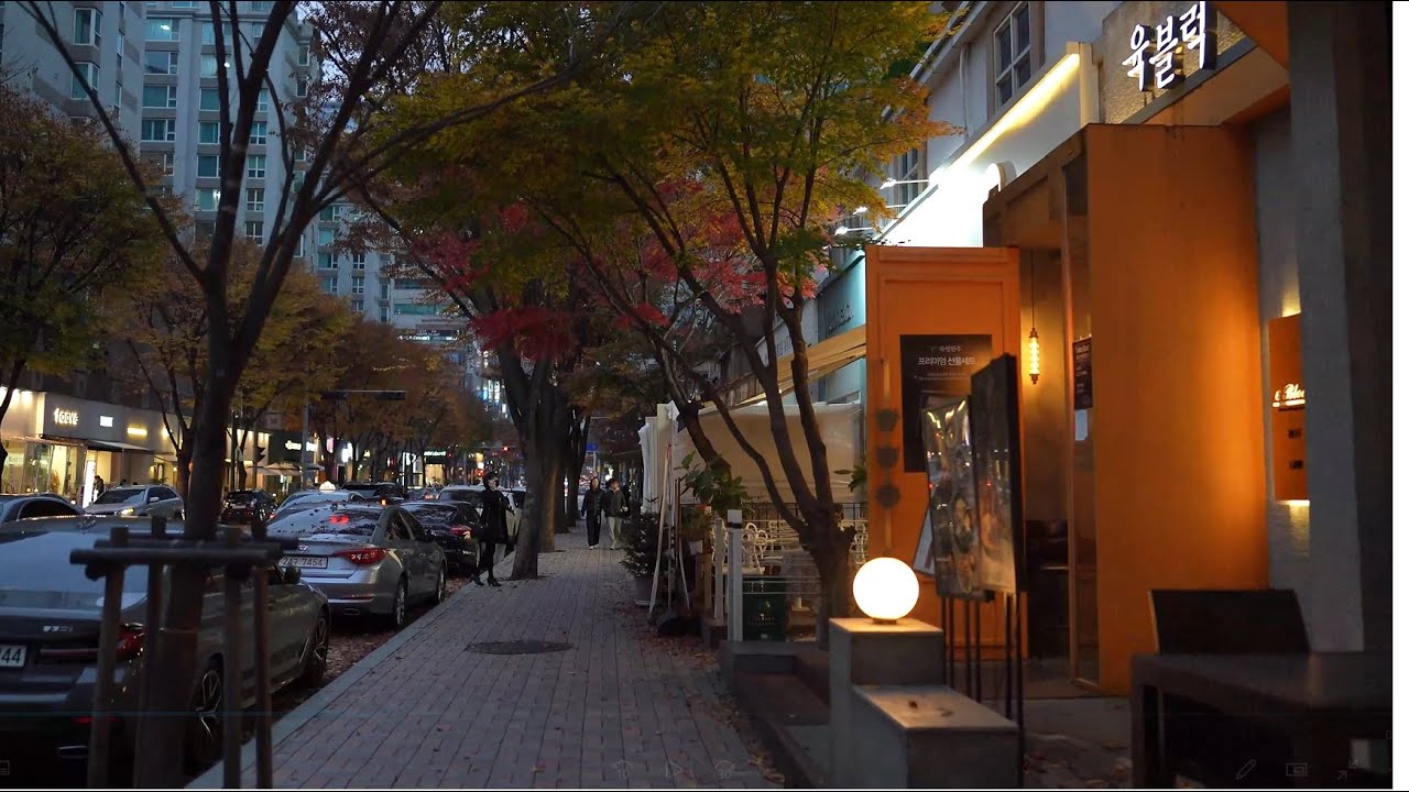 [4k]가을의 스산함을 분당 정자동 카페거리에서 느껴보세요/Feel the bleakness of autumn at Jeongja-dong Cafe Street in Bundang