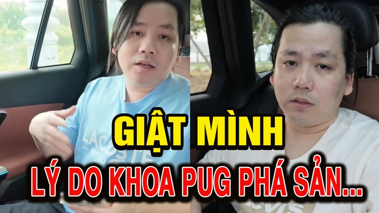 Lý Do Khoa Pug Phá Sản