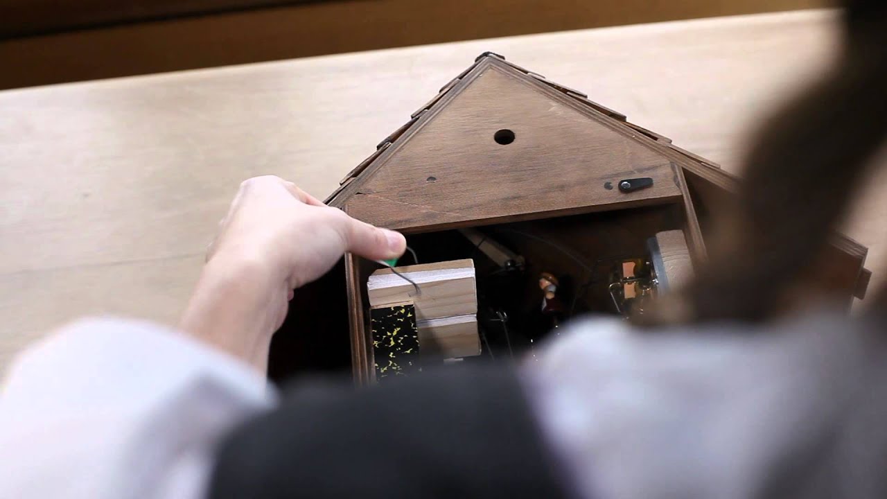 Cuckoo Clock Instruction & Service: Unpacking & Setup Instructions