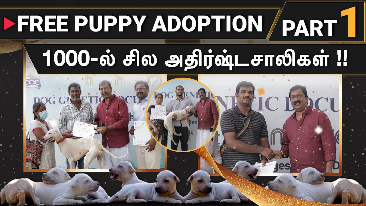இலவசமாக நாய்களைத் தத்தெடுத்த 1000-ல் சிலர் யார்? | MOST AWAITED DOG ADOPTION DAY | PART - 1