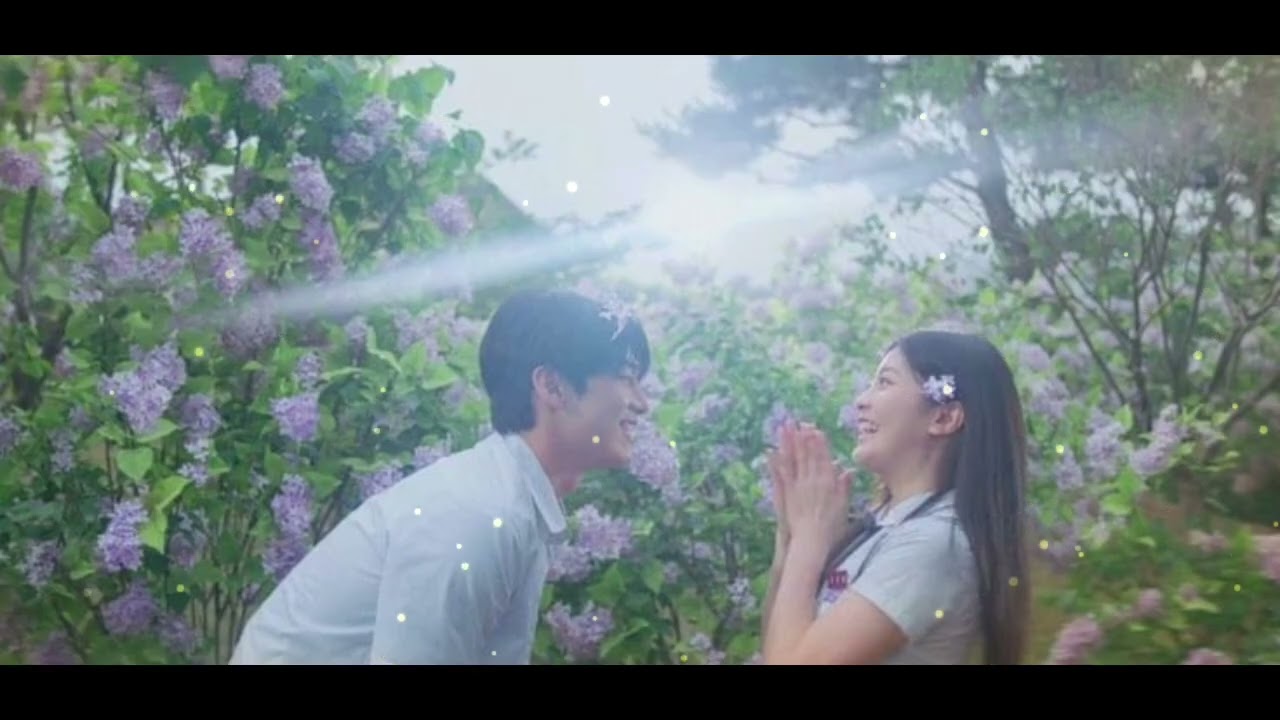 A Place to Rest 🌸 | Soft Romantic Healing OST (Comfort Drama Vibes)