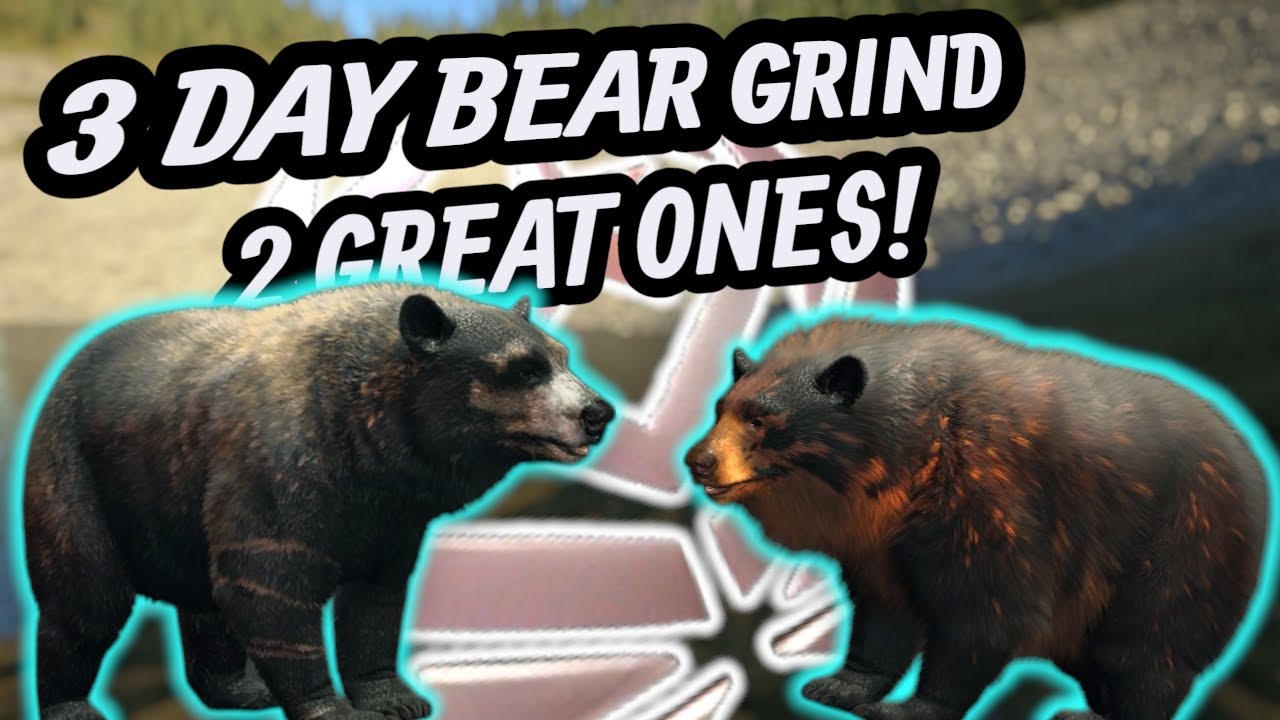 We Hunted Bears For 3 Days And Got 2 GREAT ONES! The Hunter Call Of The Wild