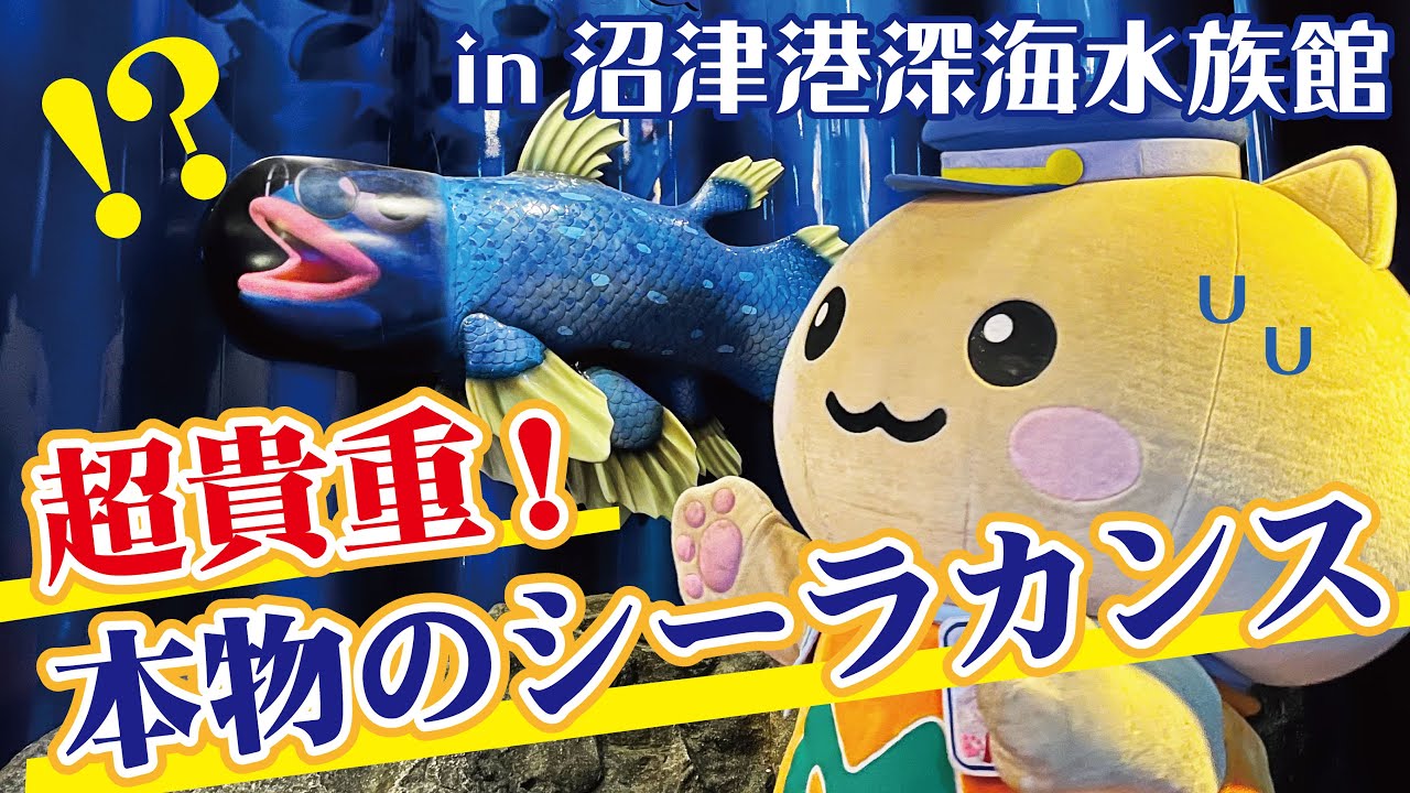 【ディープな世界】沼津港深海水族館でシーラカンスに会える！