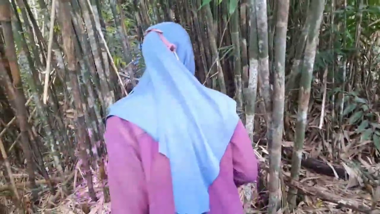 Biasanya beli, kali ini cari sampai gatal gatal#cari rebung kehutannya langsung😂