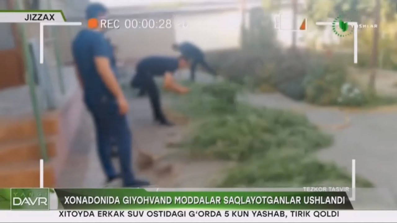 Xonadonida giyohvand moddalar saqlayotganlar ushlandi (Jizzax)