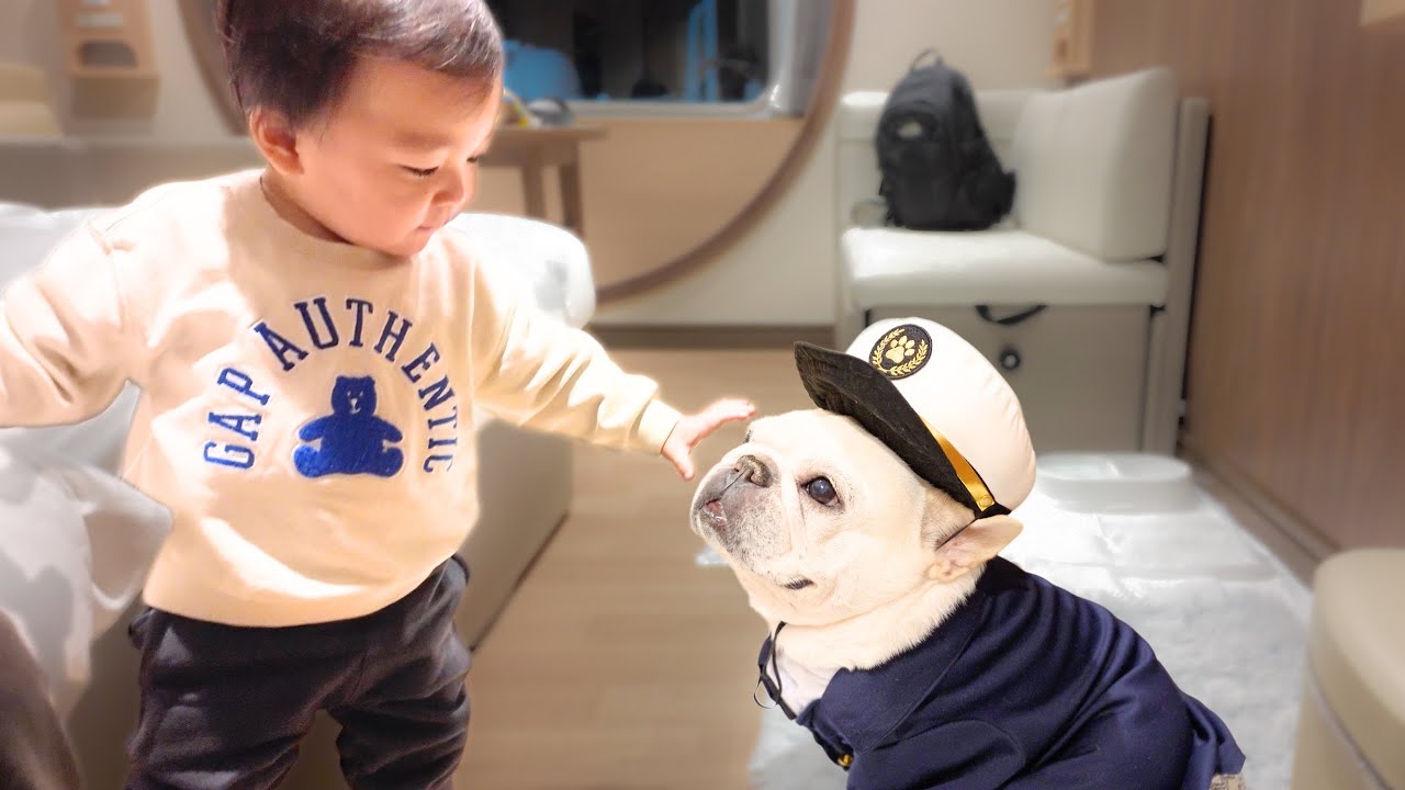 【旅vlog】愛犬と子供を連れて初めての船旅‼︎船の上での生活が快適すぎた…