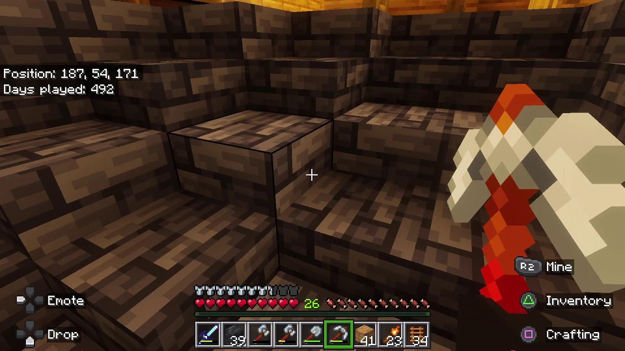Playing Minecraft w/ Friends
